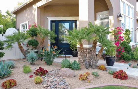 Navy front door on a stucco home with desert rock landscaping